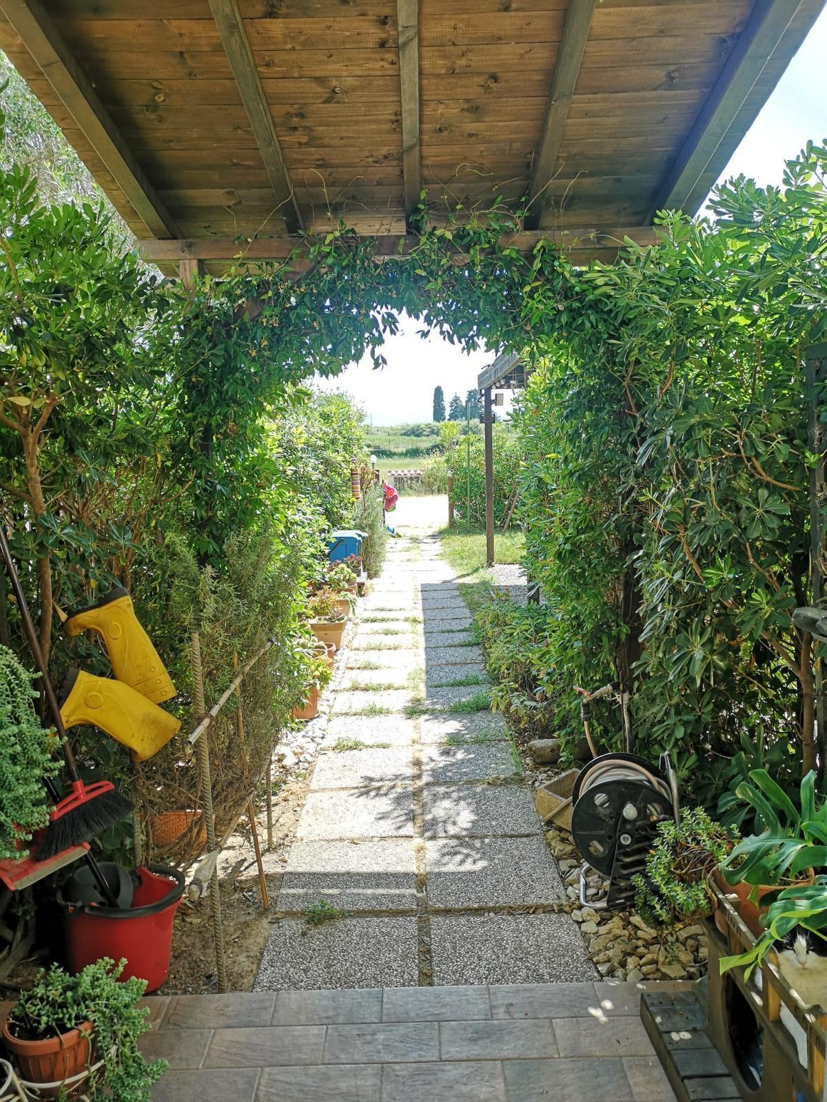 Casa indipendente in vendita a Campiglia Marittima