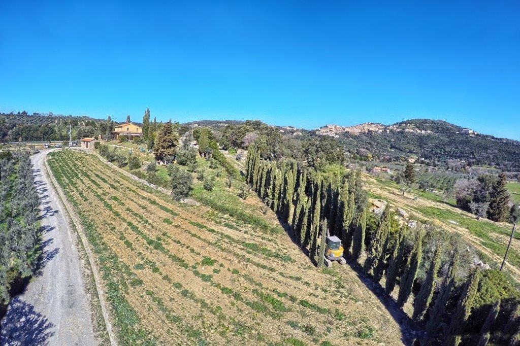 Villa in vendita a Campiglia Marittima