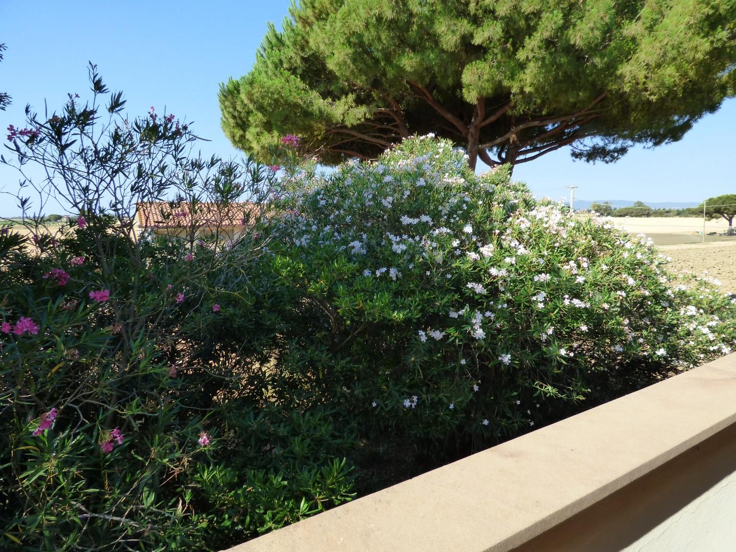 Villa Bifamiliare con giardino a Piombino