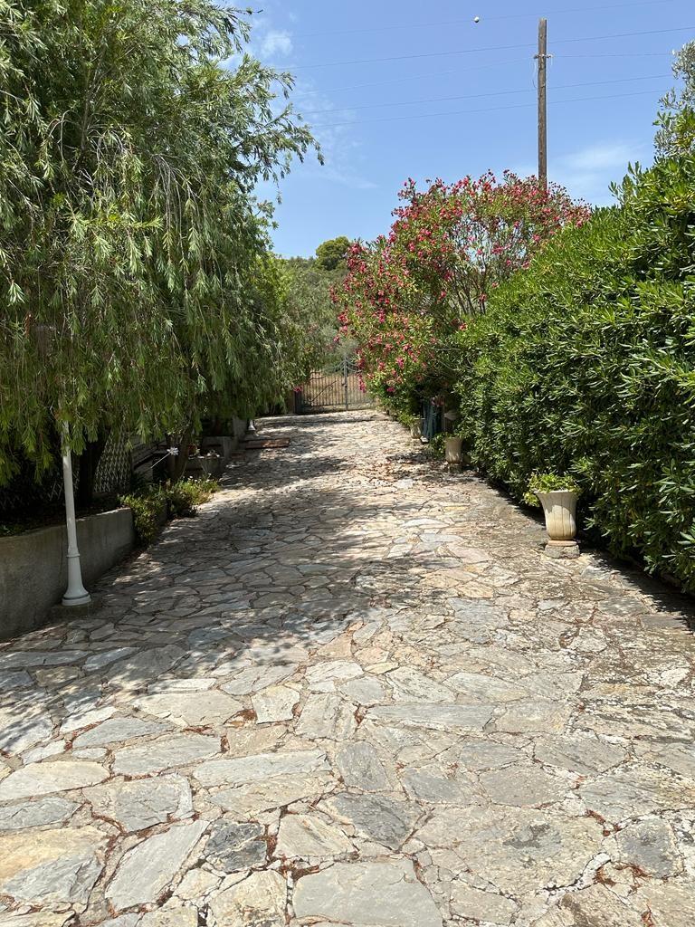 Villa con giardino, Campiglia Marittima venturina