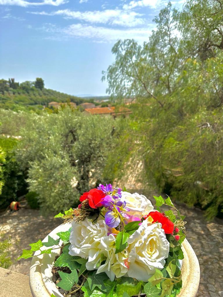 Villa con giardino, Campiglia Marittima venturina