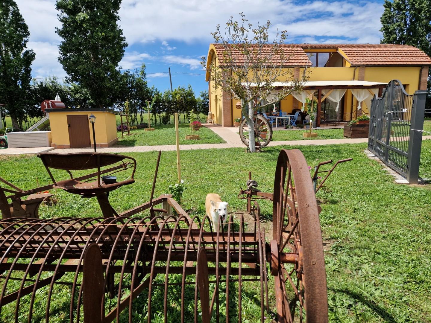 Casa indipendente con giardino, Campiglia Marittima venturina