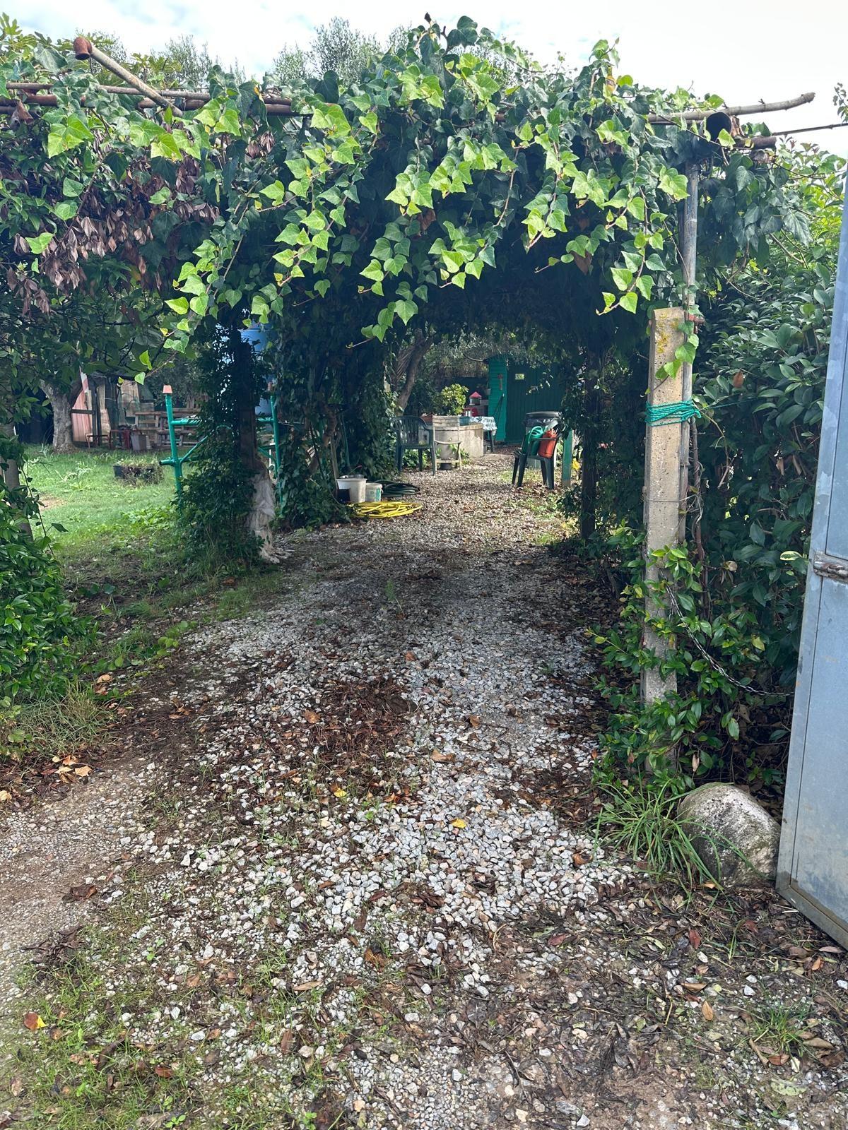 Terreno Agricolo in vendita, Campiglia Marittima venturina