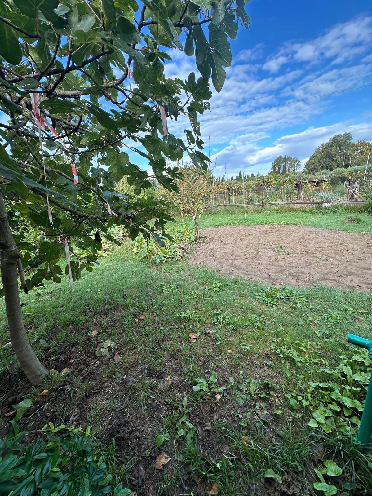 Terreno Agricolo in vendita, Campiglia Marittima venturina