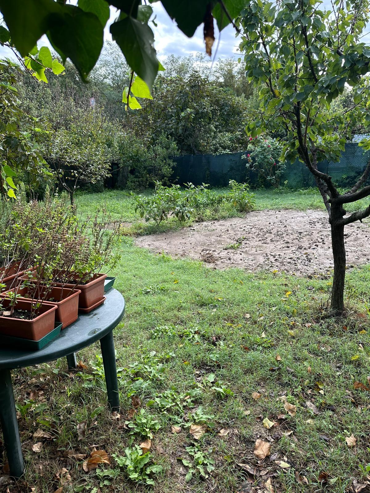 Terreno Agricolo in vendita, Campiglia Marittima venturina