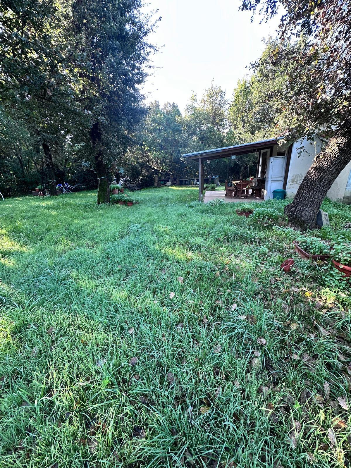 Casa indipendente in vendita a Campiglia Marittima