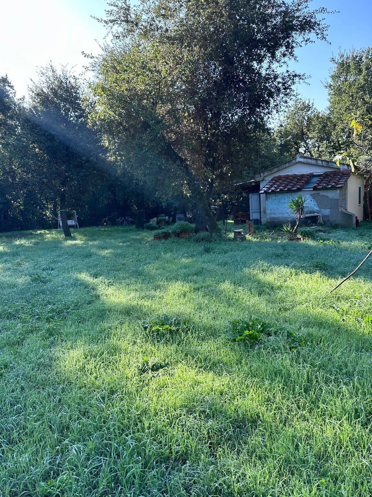 Casa indipendente in vendita a Campiglia Marittima