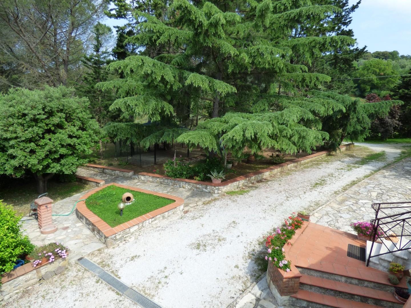 Casa indipendente con giardino a Campiglia Marittima