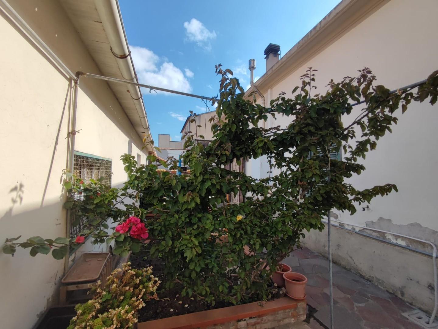 Casa indipendente con giardino, Campiglia Marittima venturina
