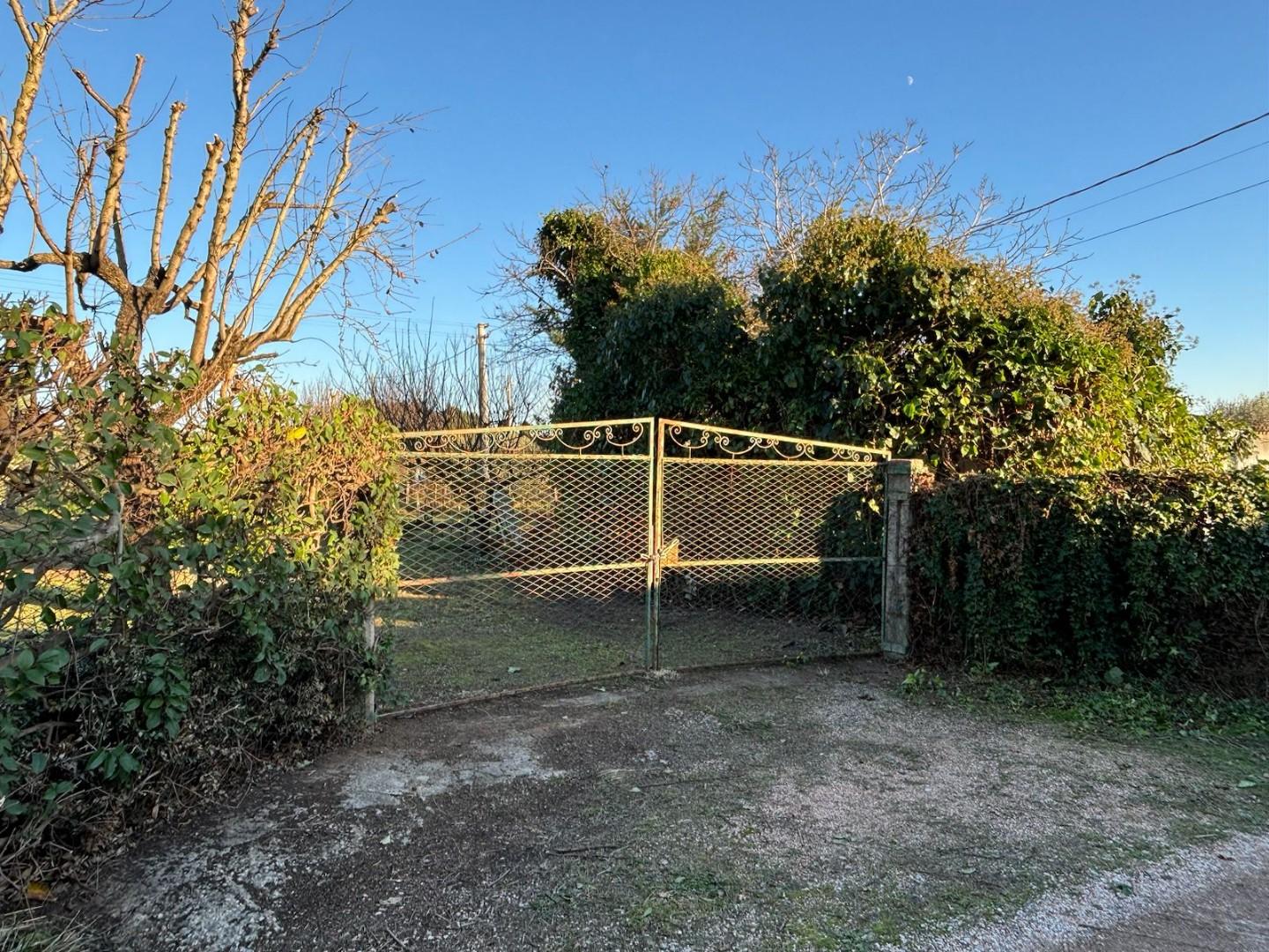 Terreno Agricolo in vendita, Campiglia Marittima venturina