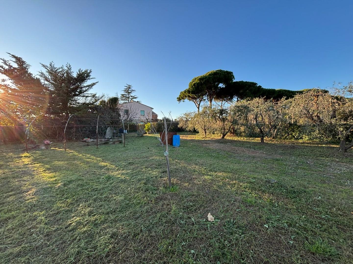 Terreno Agricolo in vendita, Campiglia Marittima venturina