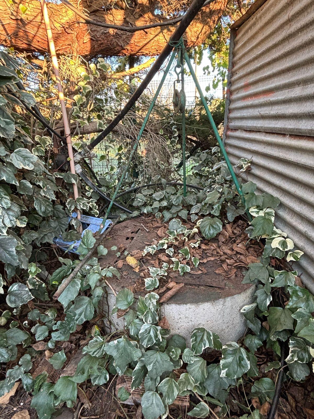 Terreno Agricolo in vendita, Campiglia Marittima venturina