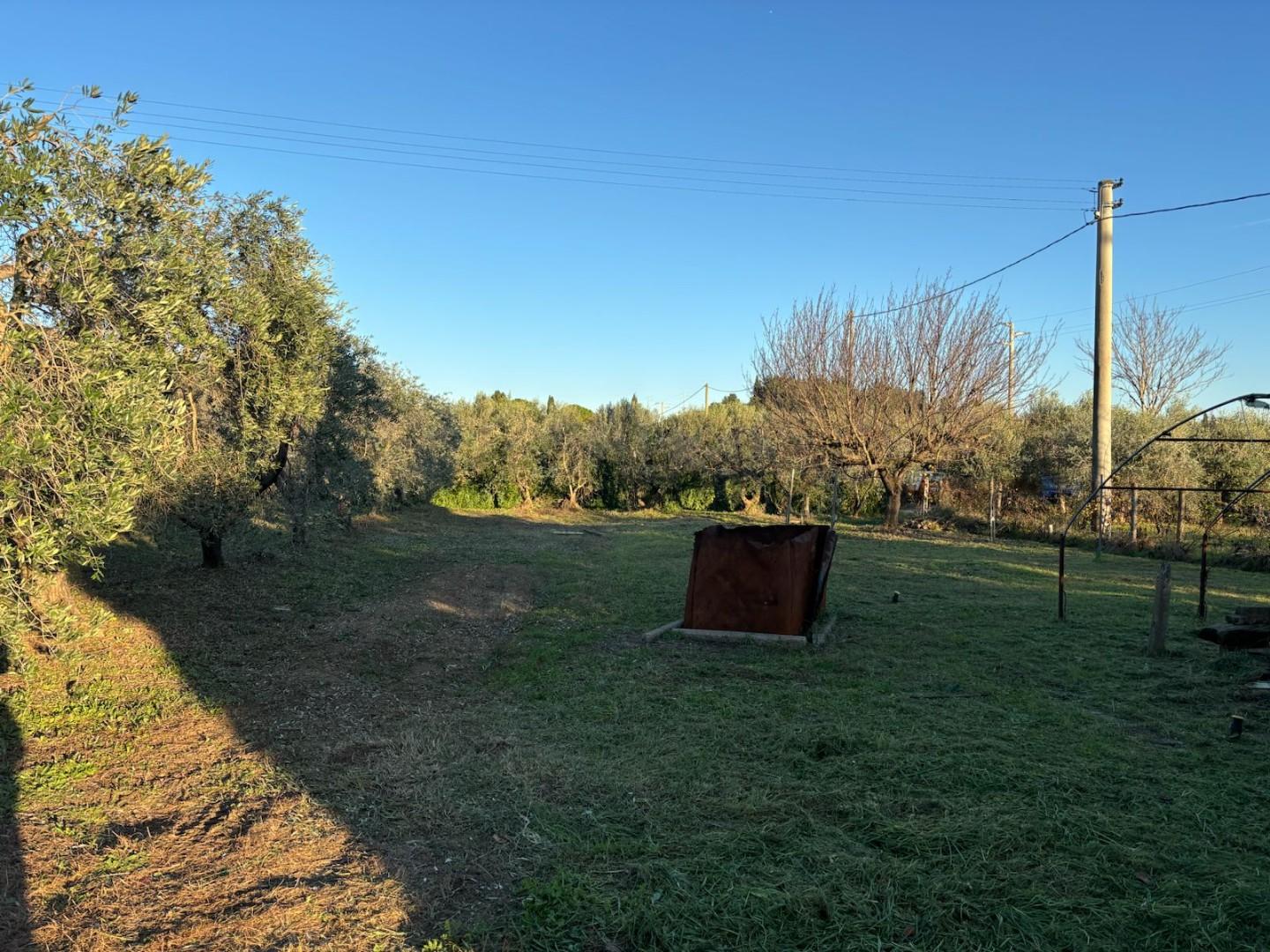 Terreno Agricolo in vendita, Campiglia Marittima venturina