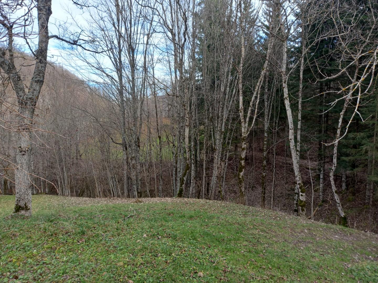 Villa Bifamiliare con giardino, Pievepelago sant'anna pelago