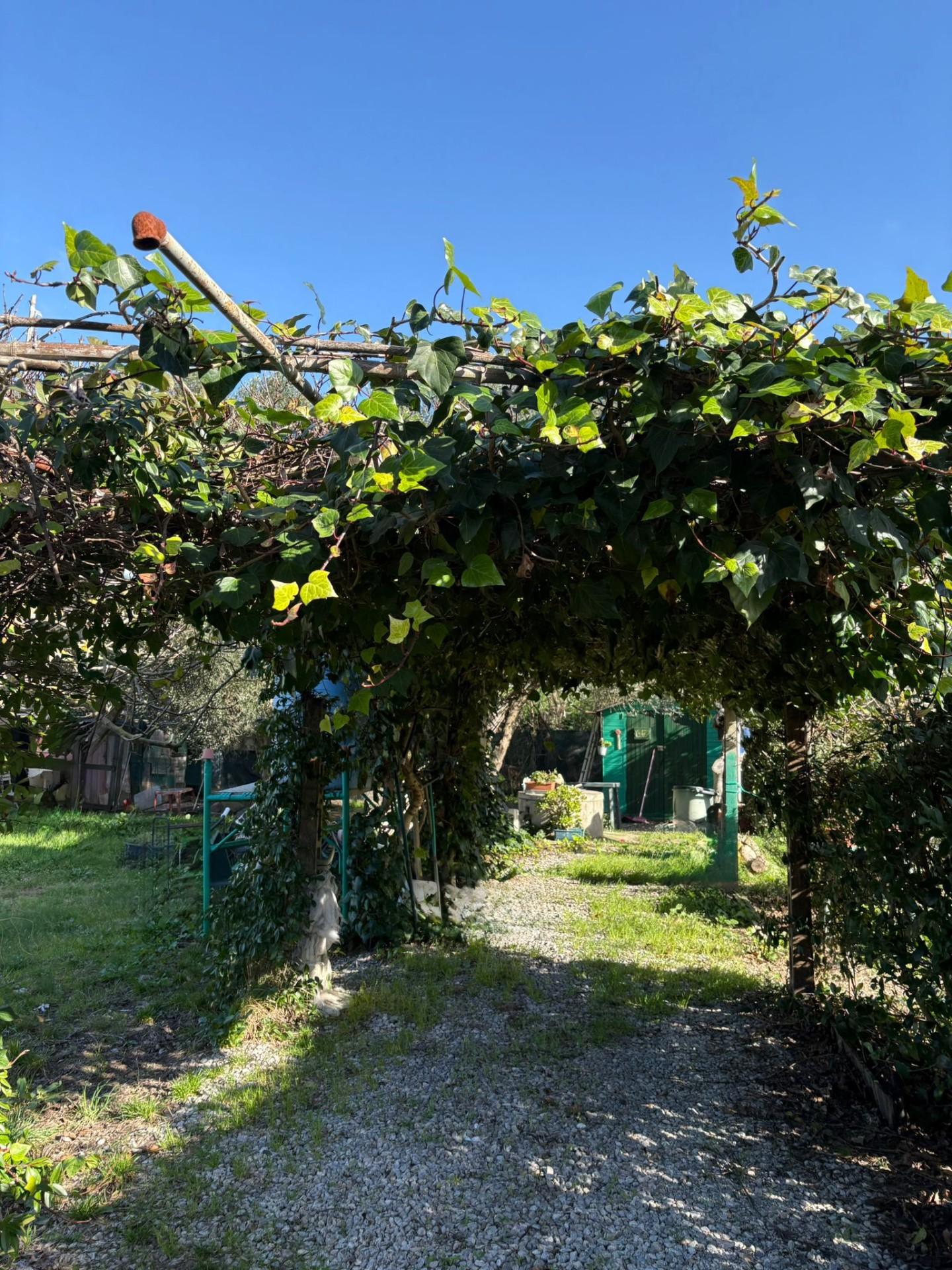 immagine annuncio 1 di 6