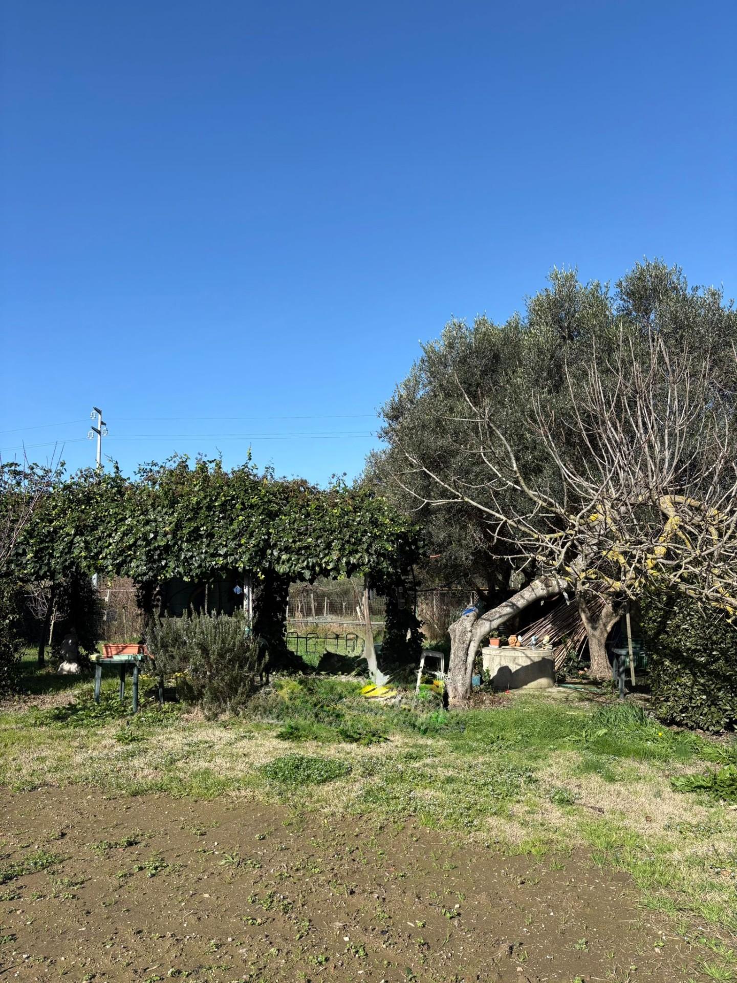 immagine annuncio 2 di 6