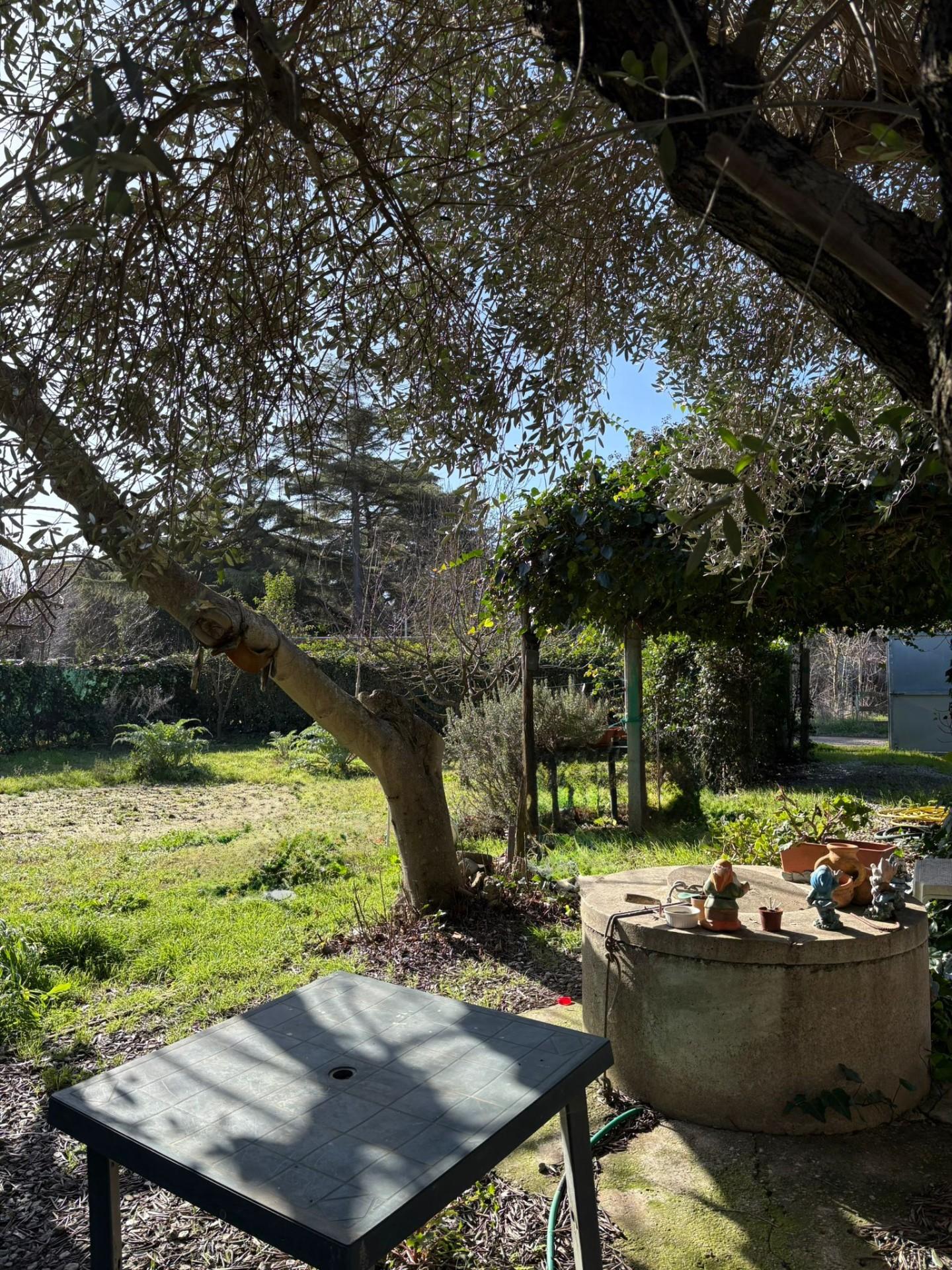 immagine annuncio 4 di 6