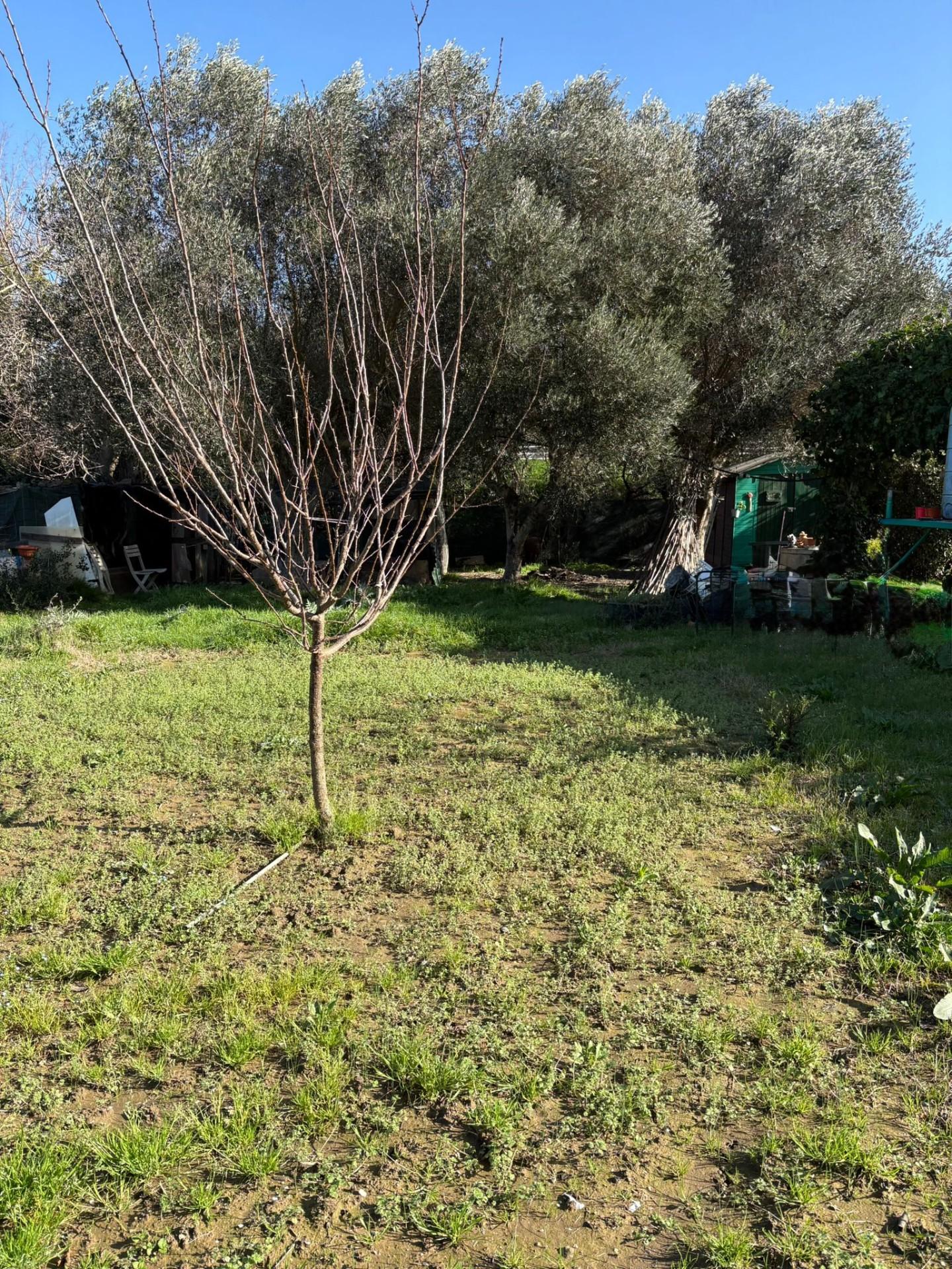 immagine annuncio 5 di 6