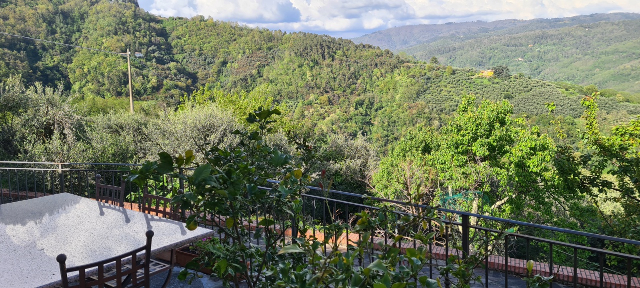 Rustico con giardino a Pescia