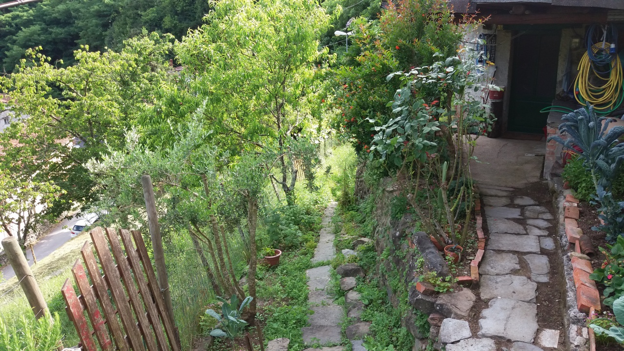 Casa indipendente con giardino a Pescia