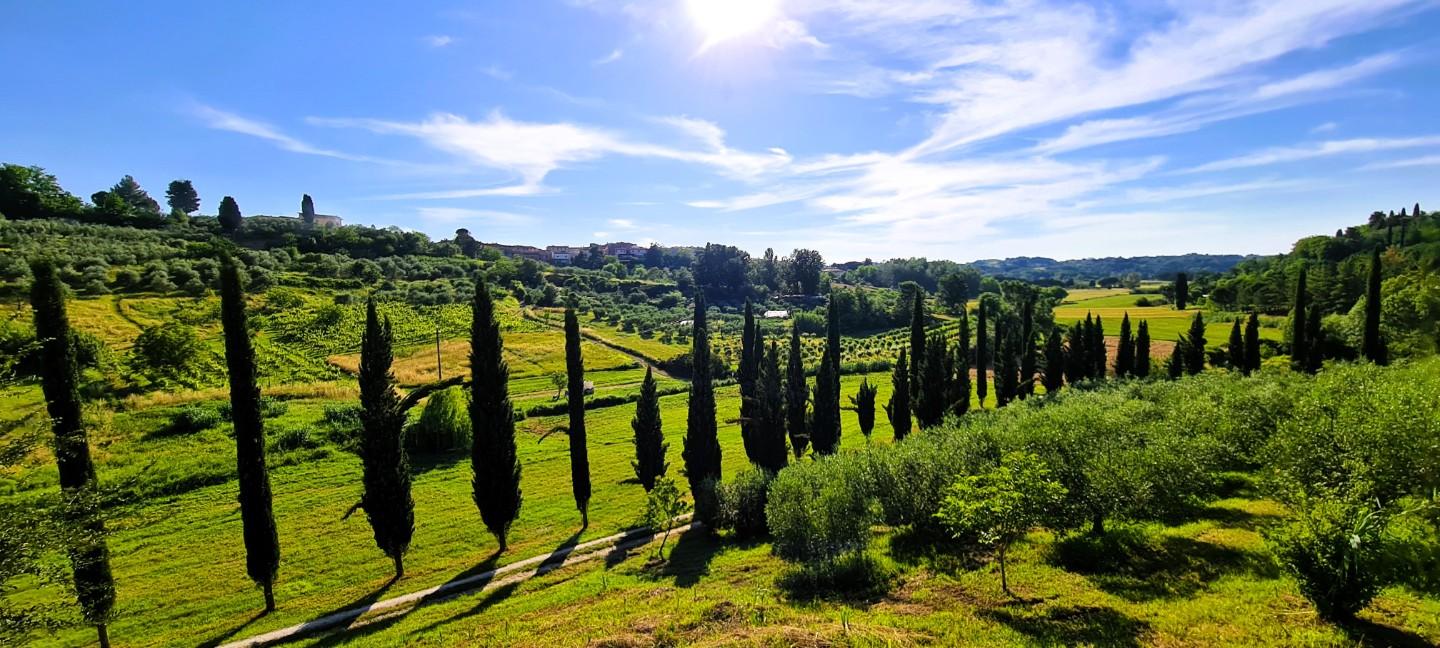 Villa con giardino a Terricciola