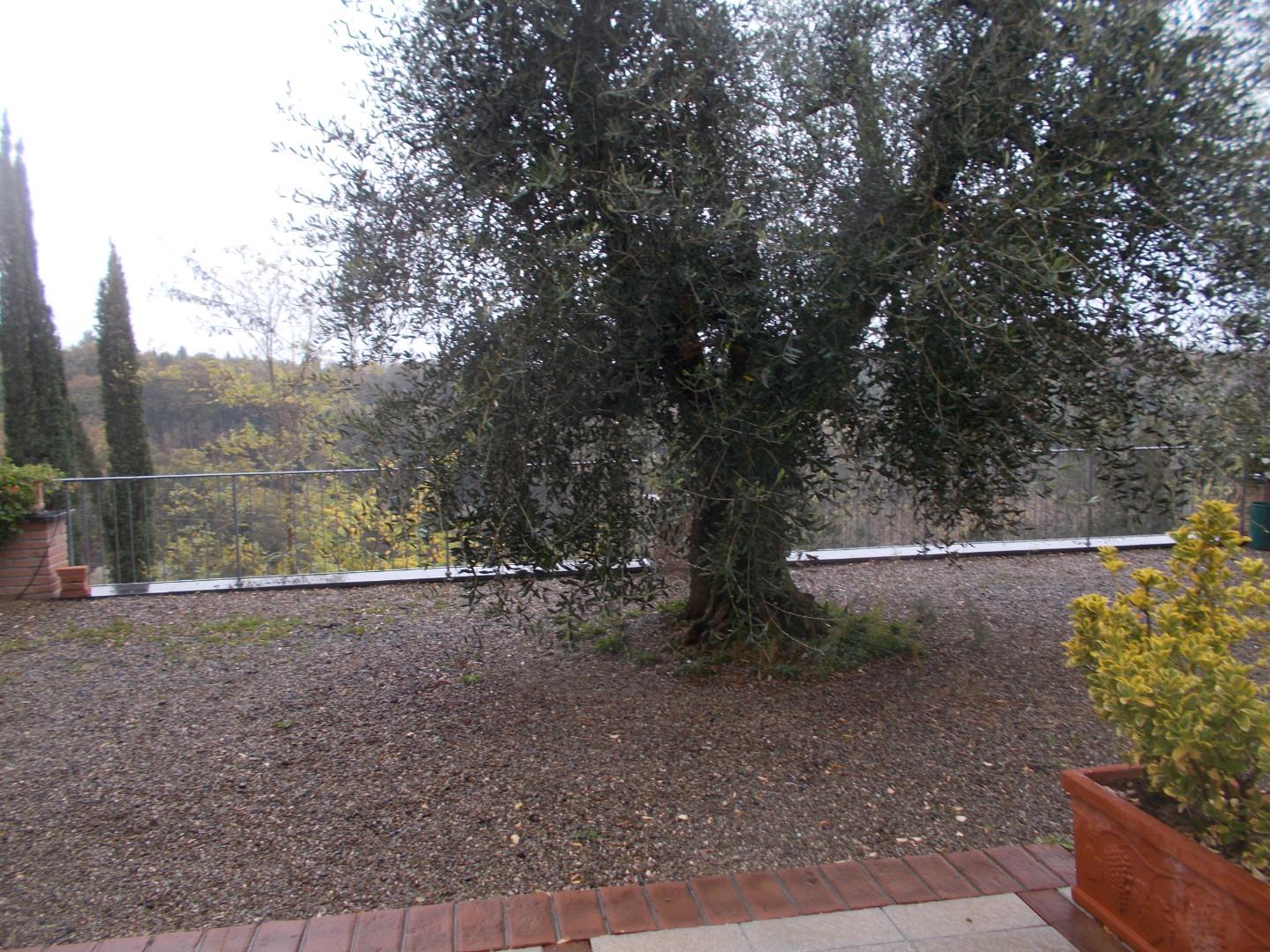 Casa indipendente arredata in affitto, Pontedera montecastello