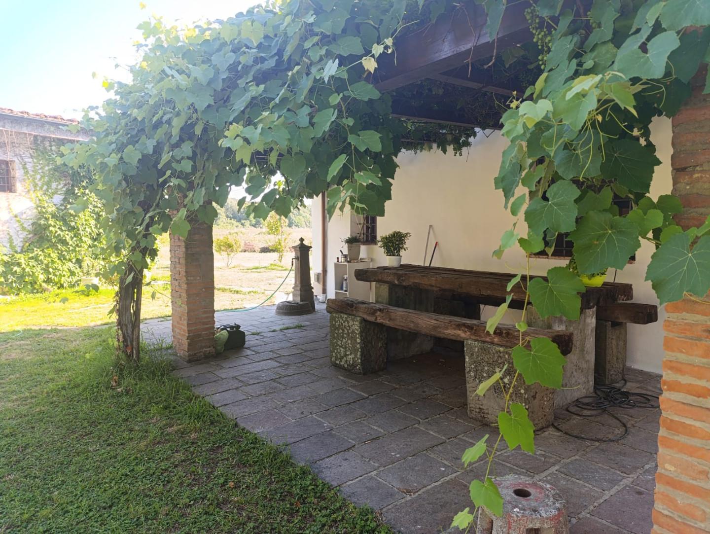 Bilocale arredato in affitto a Calcinaia