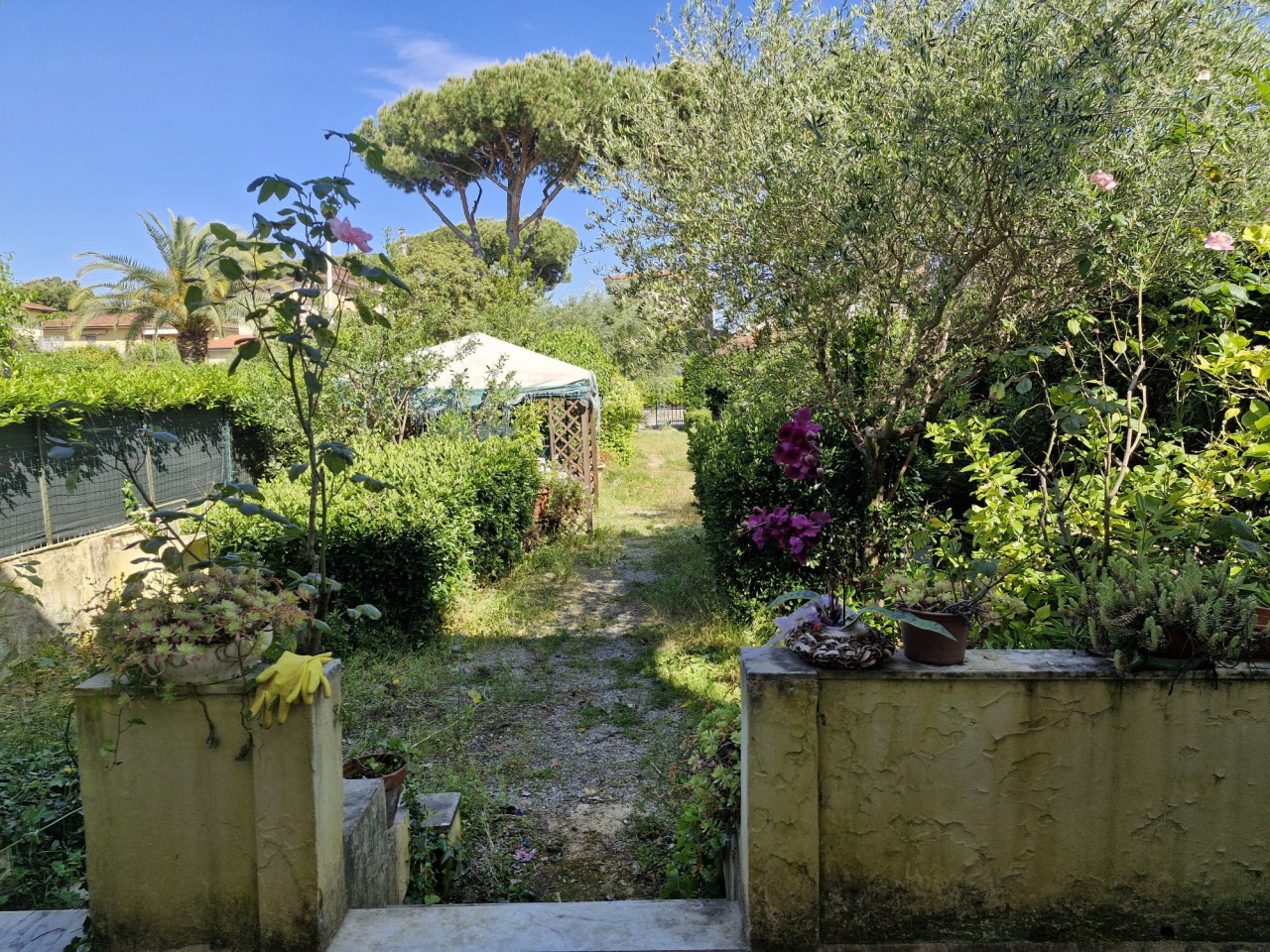 Casa indipendente con giardino a Pietrasanta