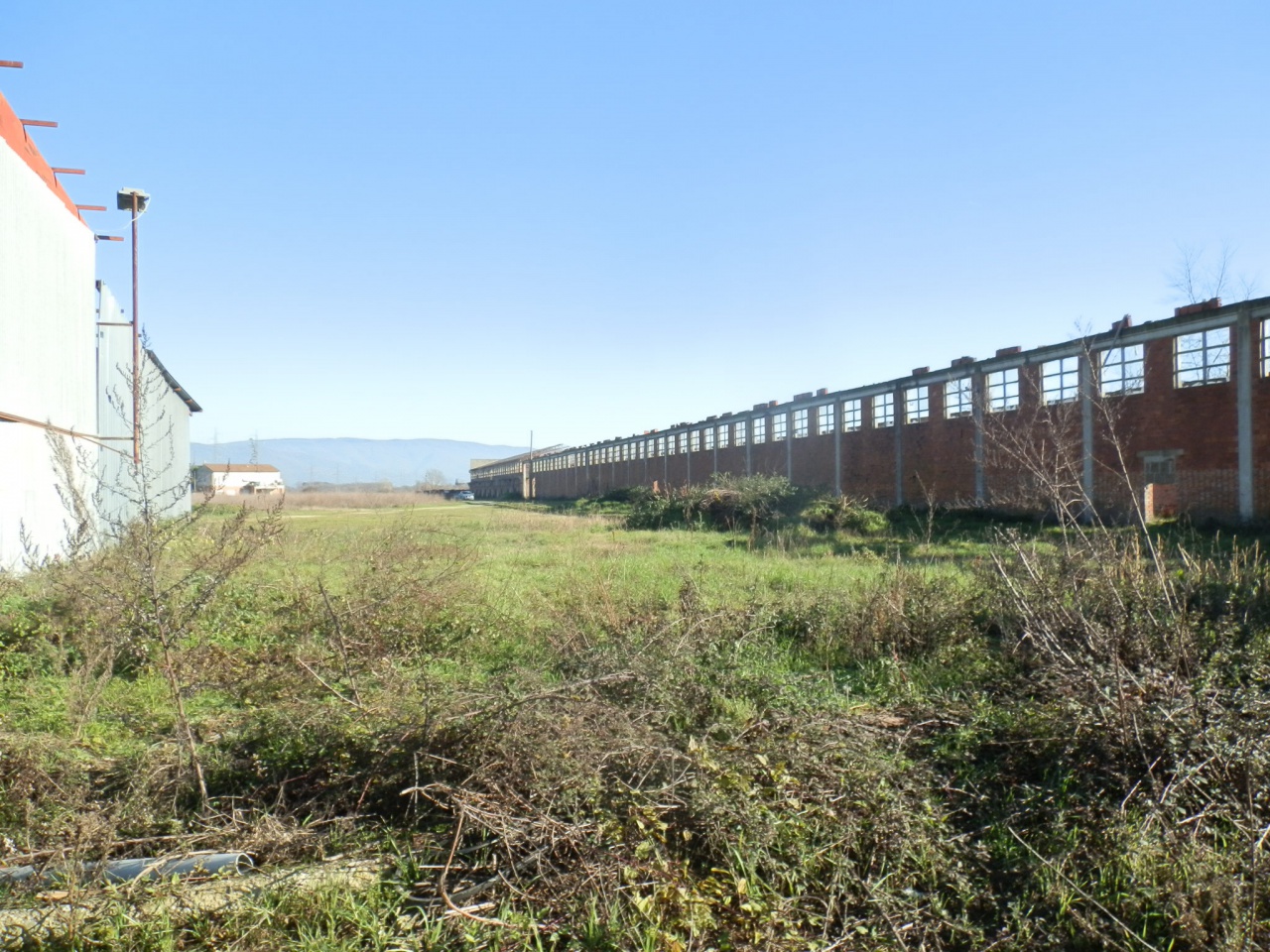 immagine annuncio 8 di 9