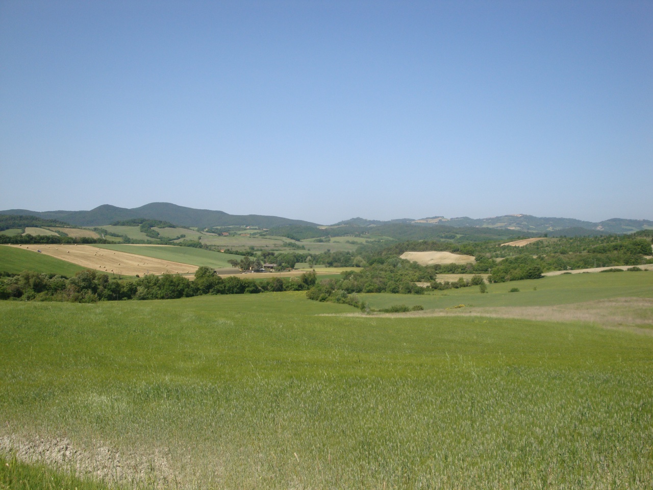 Terreno in vendita a Pomarance