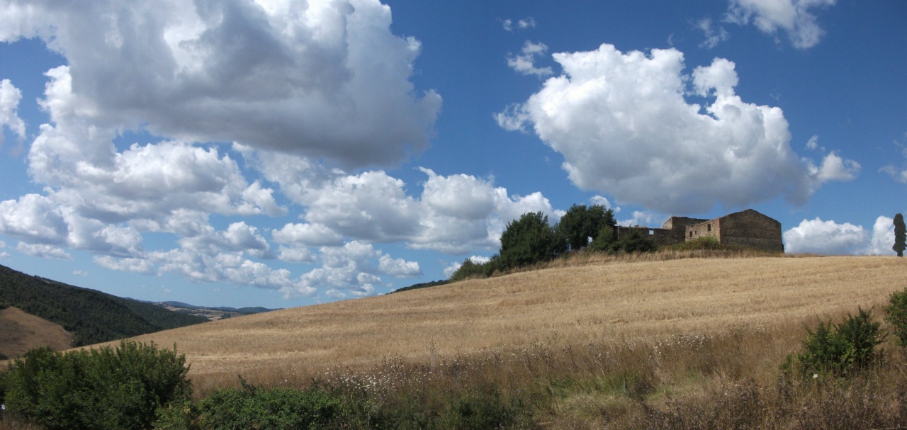 Terreno in vendita a Volterra