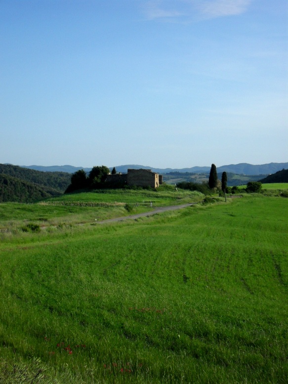 Terreno in vendita a Volterra
