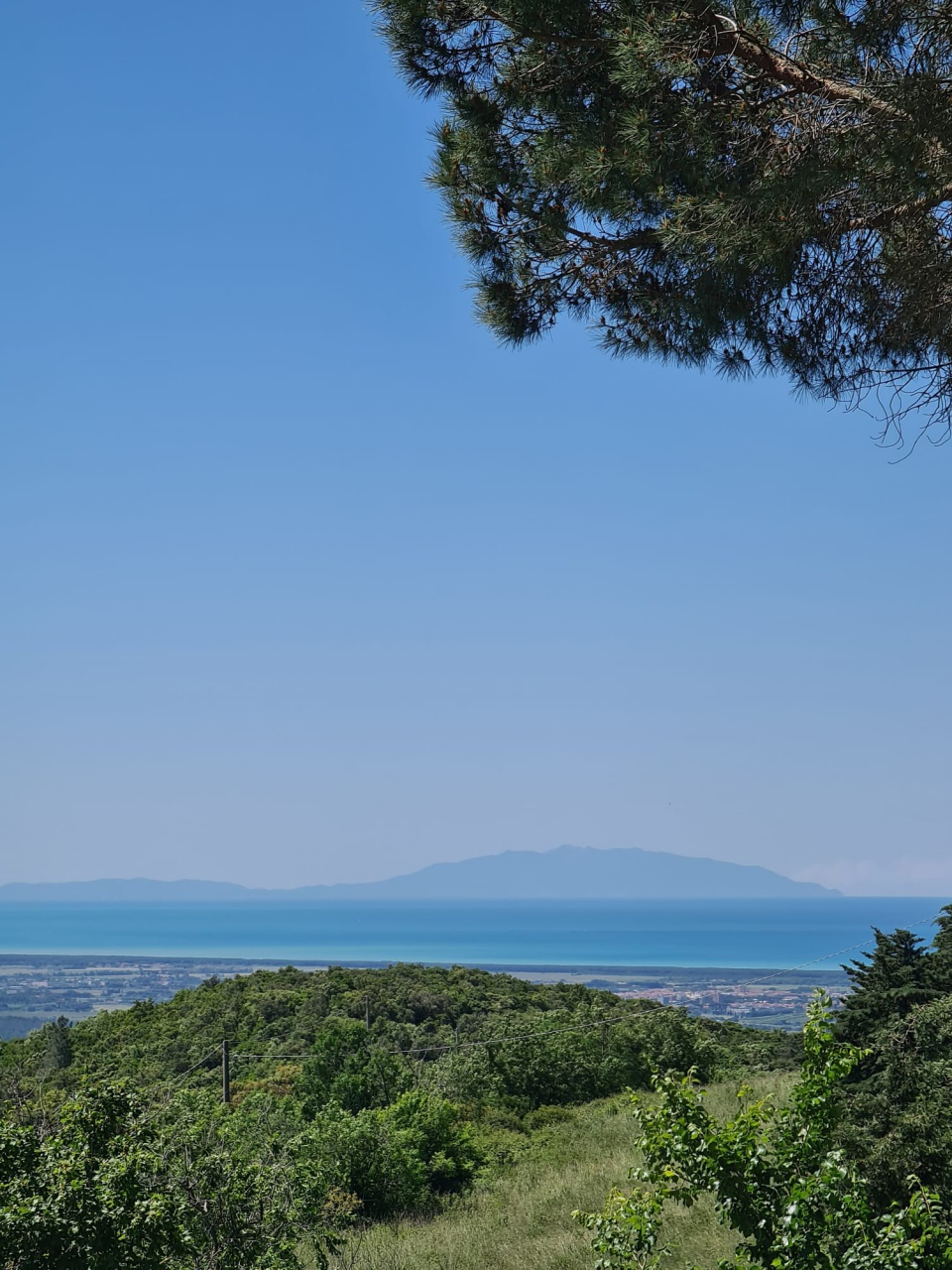 Terreno vista mare a Castellina Marittima