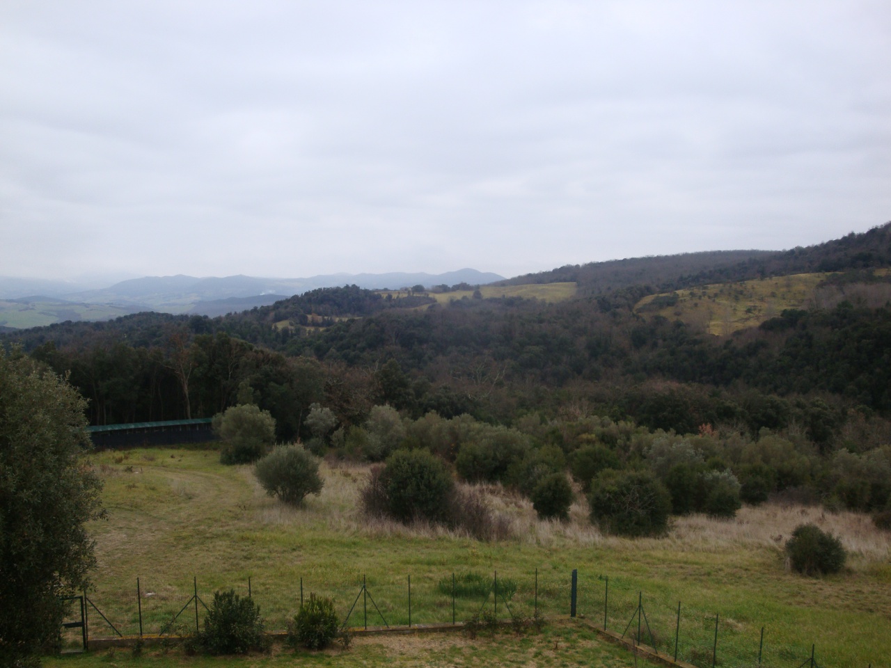 Terreno vista mare a Guardistallo
