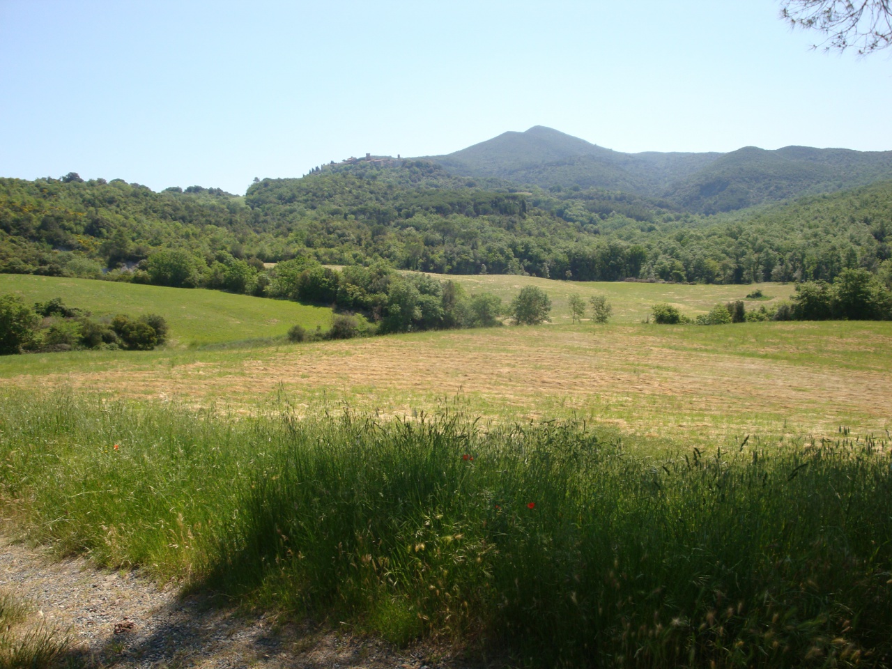 Attivit commerciale in vendita a Montecatini Val di Cecina
