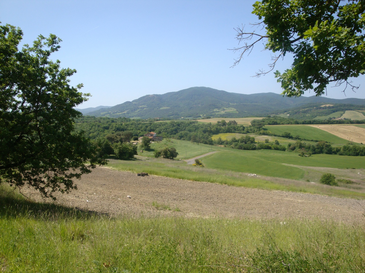Attivit commerciale in vendita a Montecatini Val di Cecina
