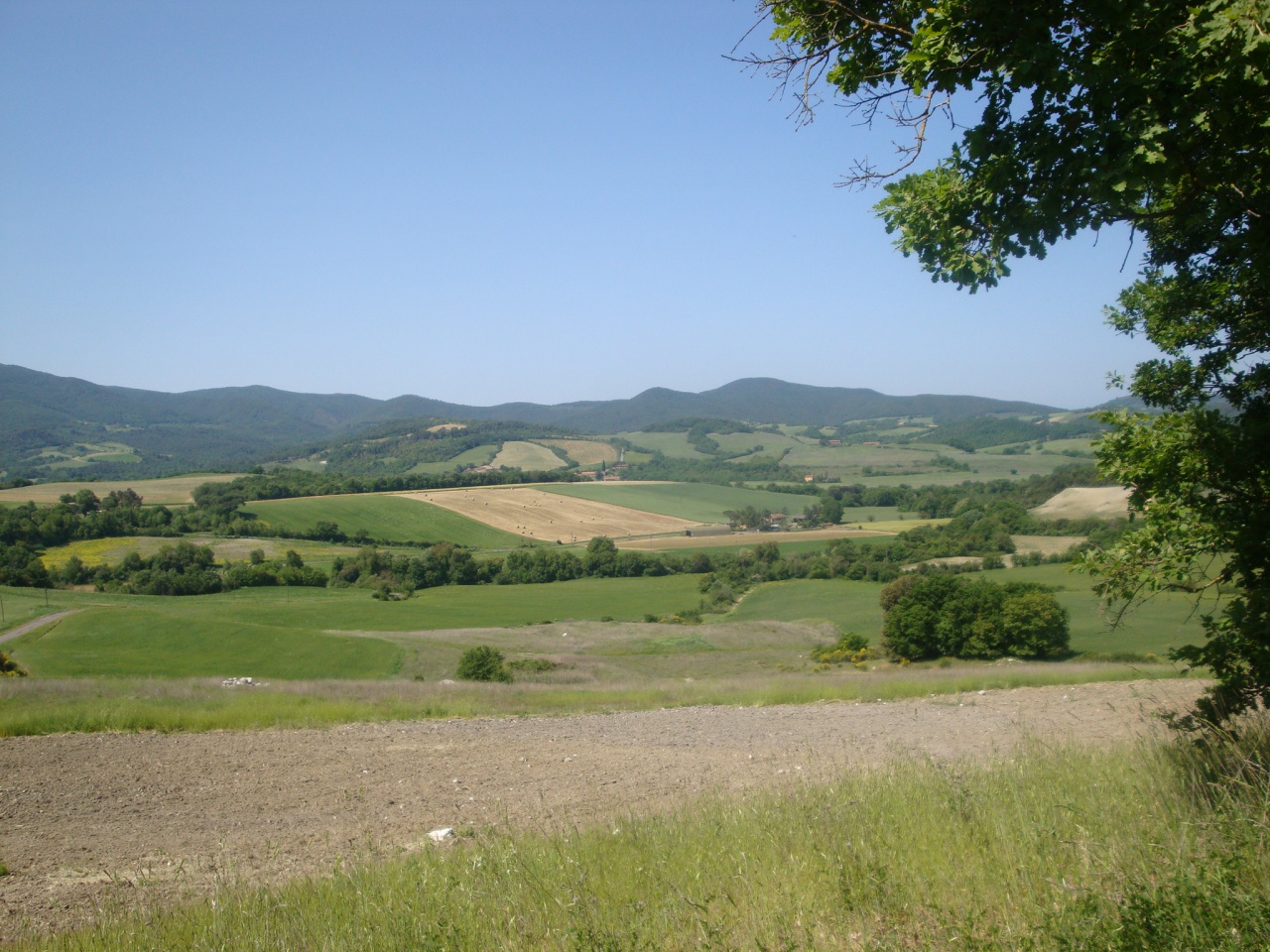 Attivit commerciale in vendita a Montecatini Val di Cecina