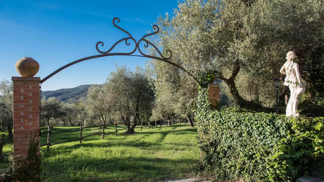 Attivit� commerciale in vendita a Sassetta