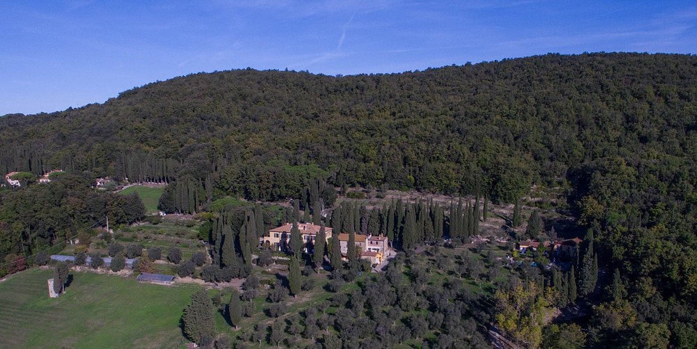 Attivit� commerciale in vendita a Sassetta