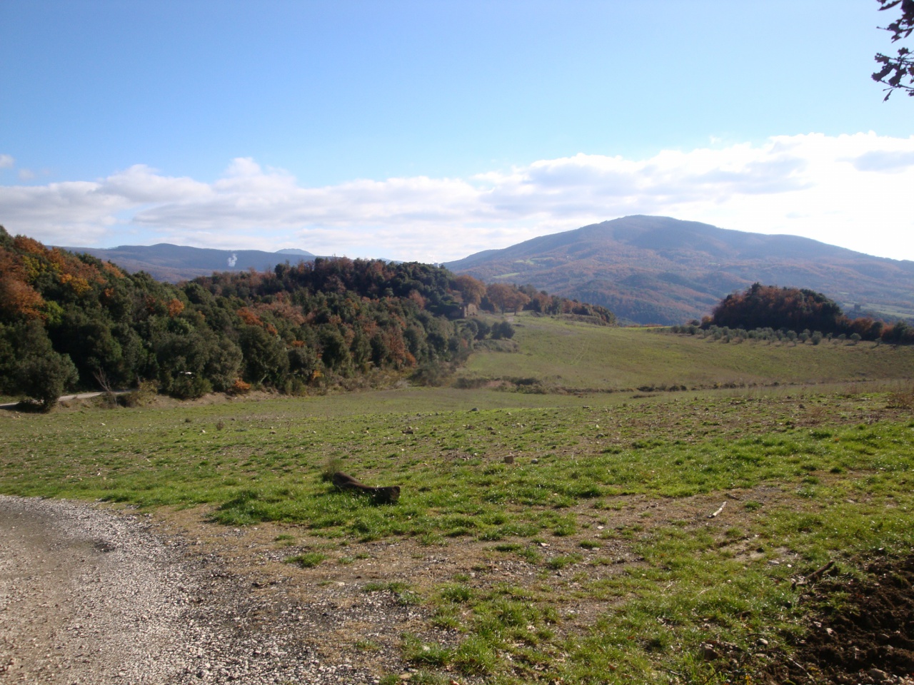 Terreno in vendita a Pomarance