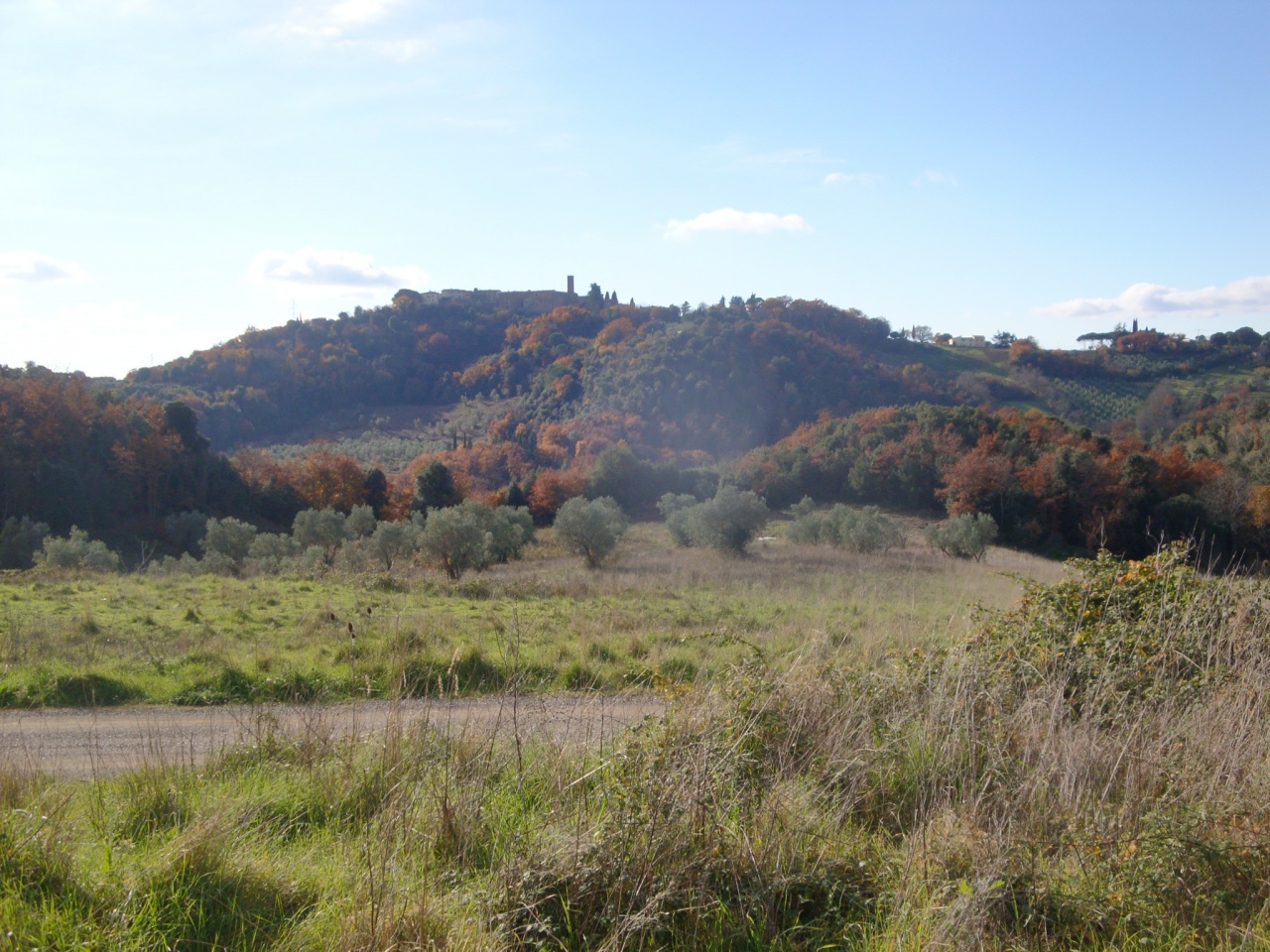 Terreno in vendita a Pomarance