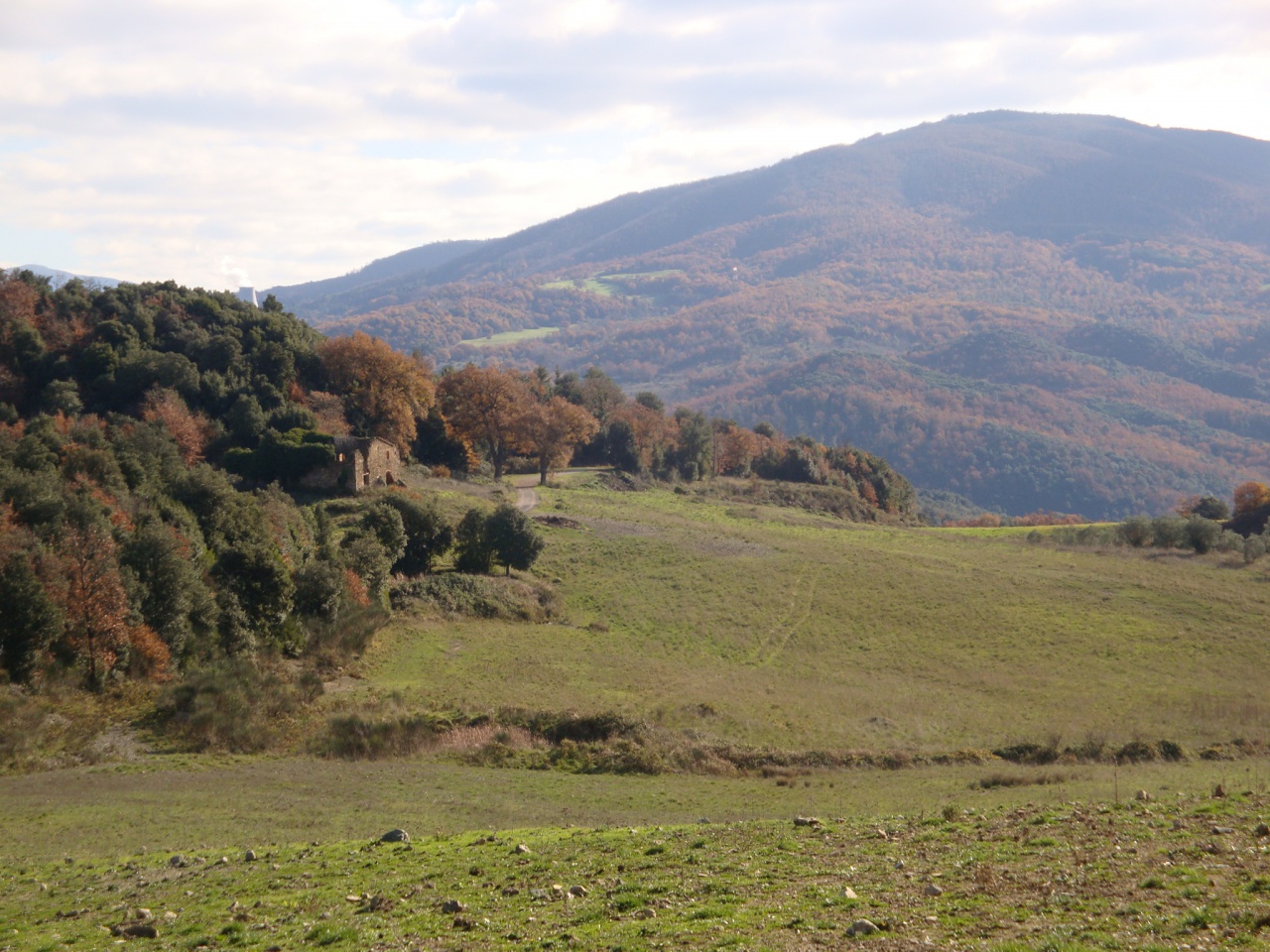Terreno in vendita a Pomarance