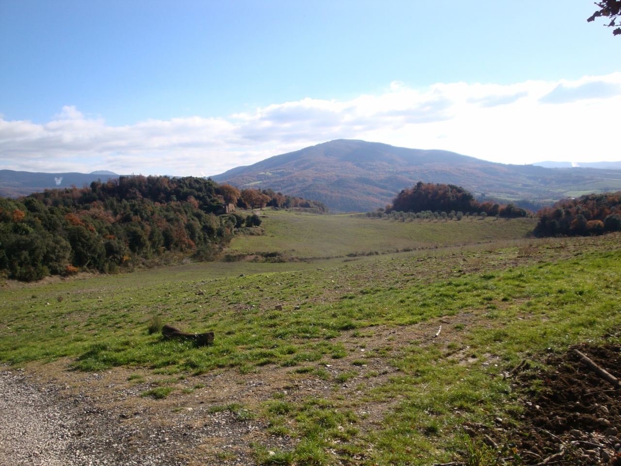 Terreno in vendita a Pomarance