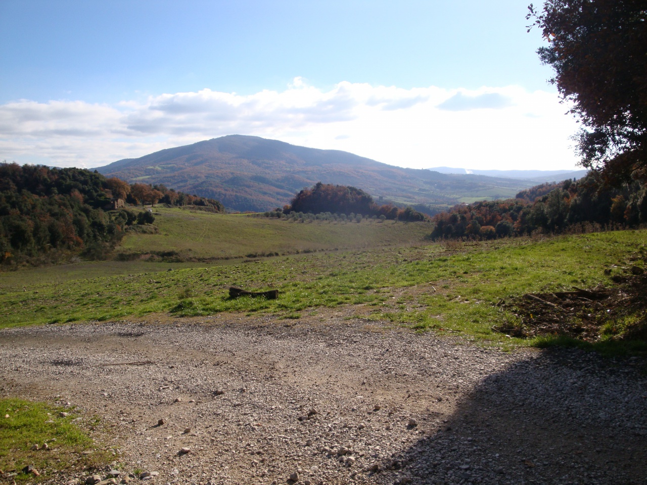 Terreno in vendita a Pomarance