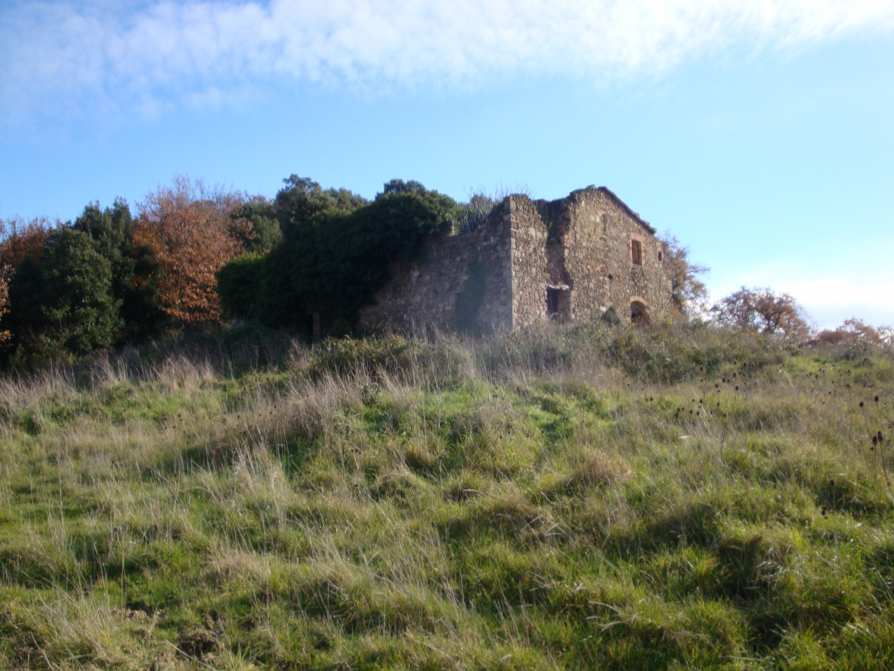 Terreno in vendita a Pomarance