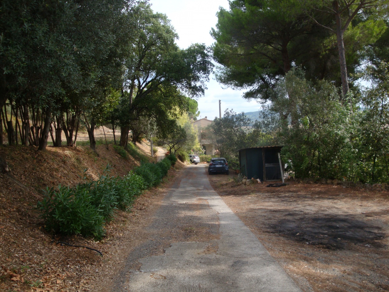 Rustico in vendita a Bibbona