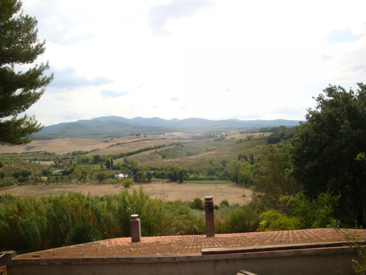 Rustico in vendita a Bibbona