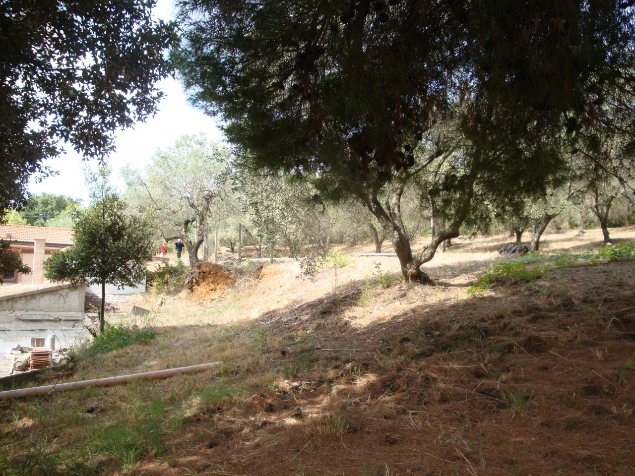 Rustico in vendita a Bibbona