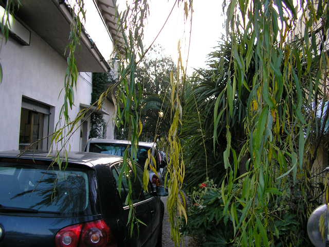 Casa indipendente con giardino a Vasto