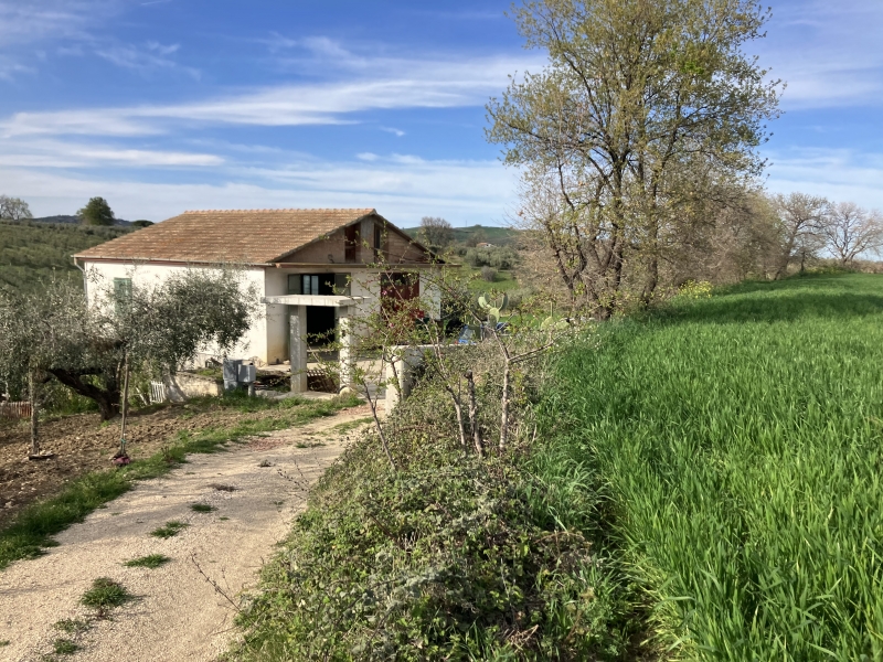 Magazzino con giardino a Vasto